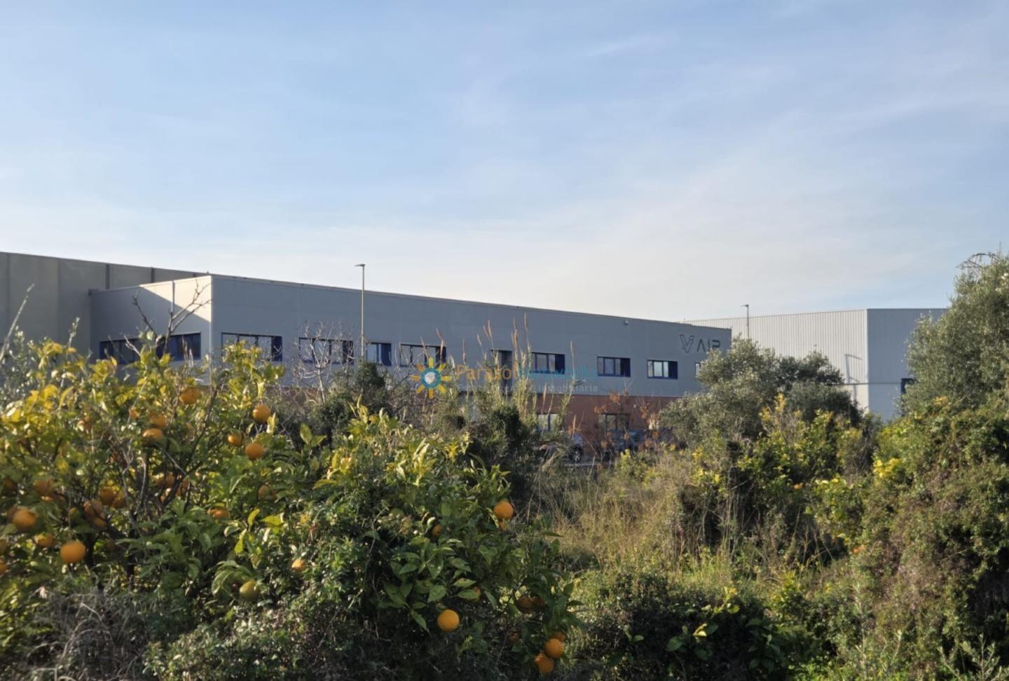 Land in Rafelcofer, Valencia