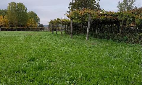 Land in Vila Verde, Braga