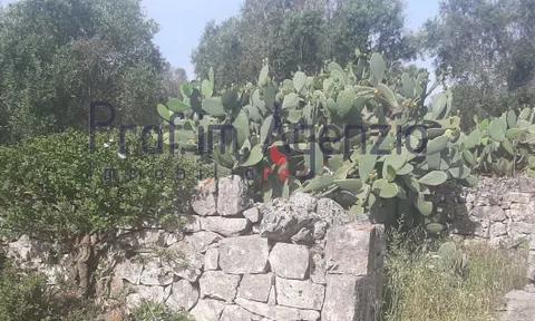 Country house in San Michele Salentino, Brindisi