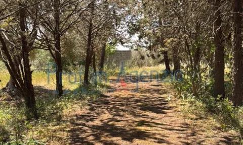Land in San Vito dei Normanni, Brindisi