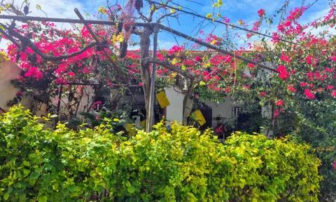 Country house in Los Gallardos, Almeria